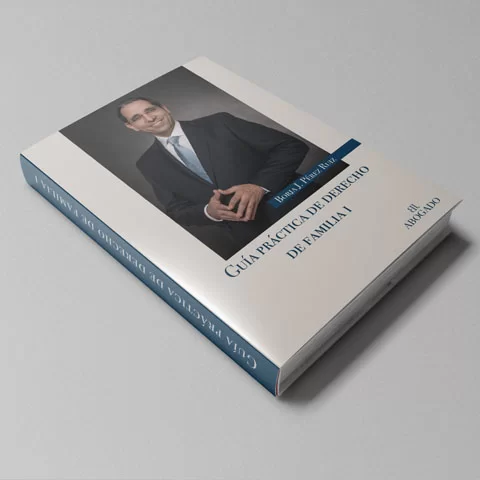 Guía Práctica de Derecho de Familia I del autor Borja Pérez de BJ Abogado